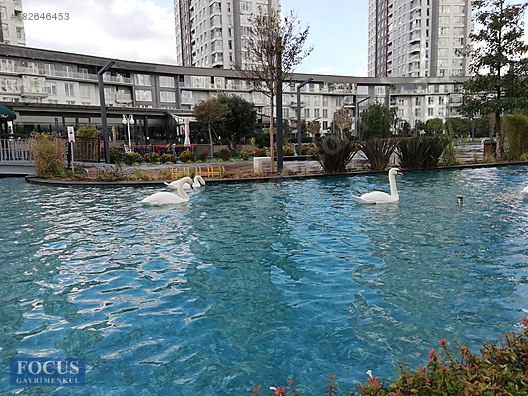 Emlak Ofisinden 1 1 74 M Satilik Daire 745 000 Tl Ye Sahibinden Com Da 882646453