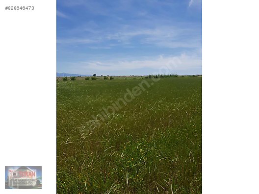 Acil Izmir Menemen Kesikte 24 Bin M2 Tarla Satilik Arsa Ilanlari Sahibinden Com Da 828646473