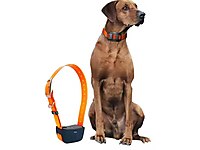 GPS KÖPEK TAKİP CİHAZI TASMALI SİSTEM #1246649021