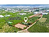 Yıldırım Samanlı'da Asfalta Cephe 2500 m² Meyve Bahçesi