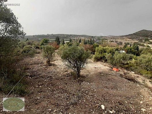 Urla Iskele Ile Rustem Arasinda Yapi Izinli Satilik Tarla Satilik Arsa Ilanlari Sahibinden Com Da 879650202