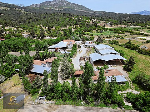 GÖRAL DAN EKSPER RAPORLU FIRSAT ÇİFTLİK