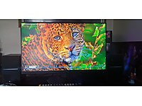 Dell G3223D 31.5 inc 165HZ Gaming Monitör