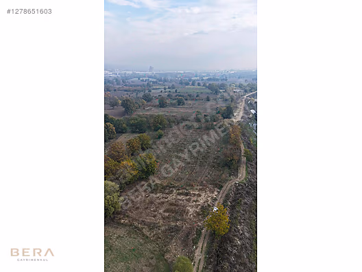 BERA GAYRİMENKUL'DEN YENİCEKÖYDE ACİL SATILIK TARLA #1278651603
