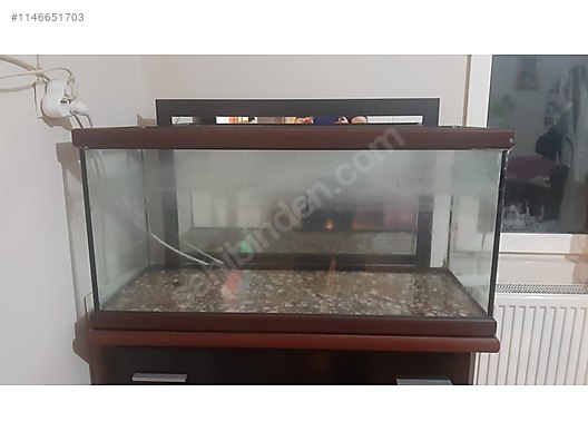 Pet aquariums clearance near me