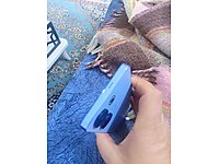 Çok temiz eşimin telefonu