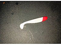 Çok uygun silikon yem