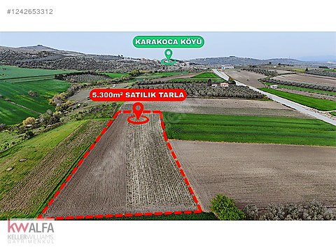 KARAKOCA'DA KÖY YAKINI GÖL MANZARALI 5300 m² FIRSAT ARAZİ