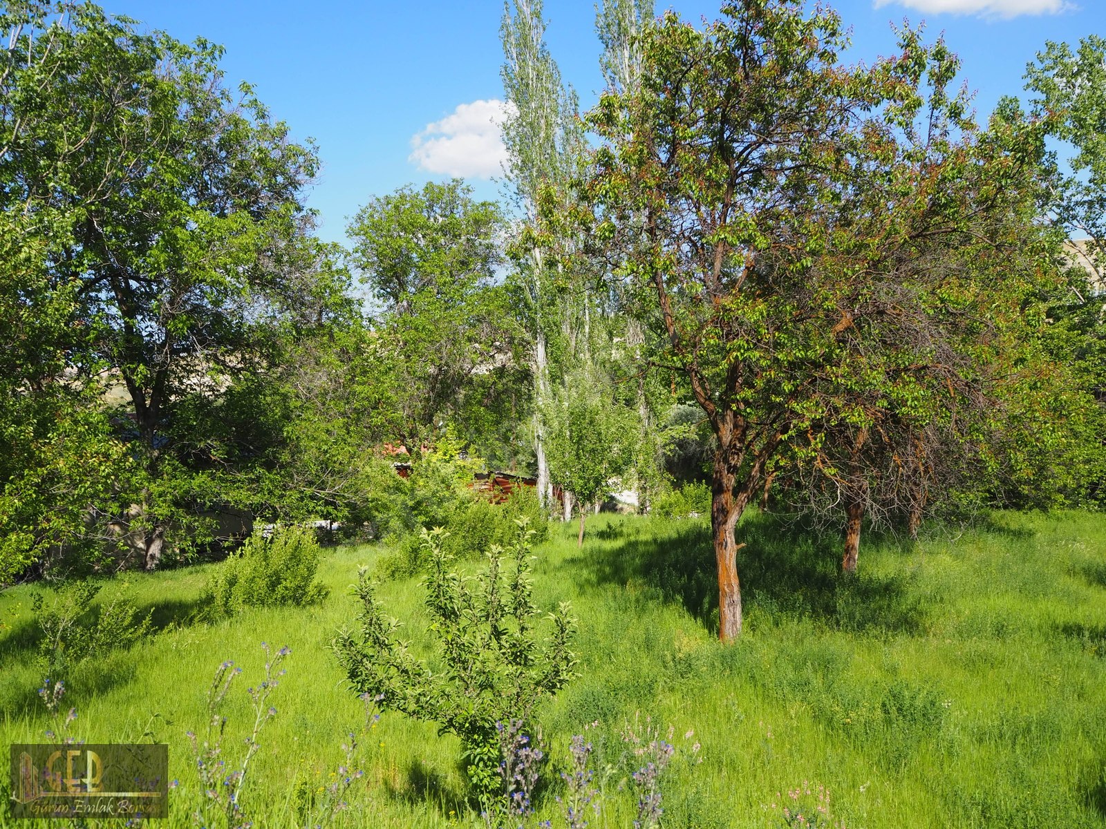 Emlak Ofisinden Satılık 2+1, 130 m² Müstakil Ev 345.000 TL�ye