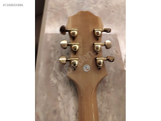 Epiphone Elektro Gitar