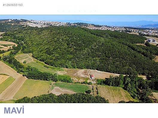 REMAX MAVİDEN KORUCUK SINIRINDA 583 m² YATIRIMLIK TARLA #1260655160