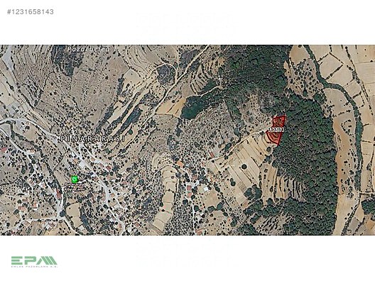 MİLAS PINARARASI KÖYÜNDE 2.074,52m2 ORMAN İÇİNDE TARLA #1231658143