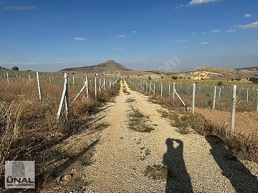 SARAYKÖY HOBİ BAHÇELERİ #1256658673