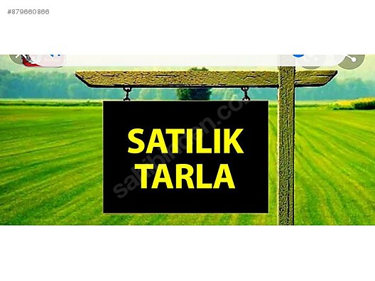 Bursa Yenisehir Selimiye Baglar Koyunde Satilik Tarla Satilik Arsa Ilanlari Sahibinden Com Da 879660866