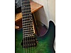 Schecter Elektro Gitar