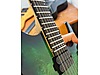 Schecter Elektro Gitar