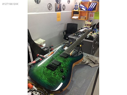 Schecter Elektro Gitar