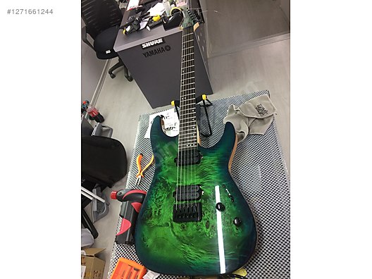 Schecter Elektro Gitar