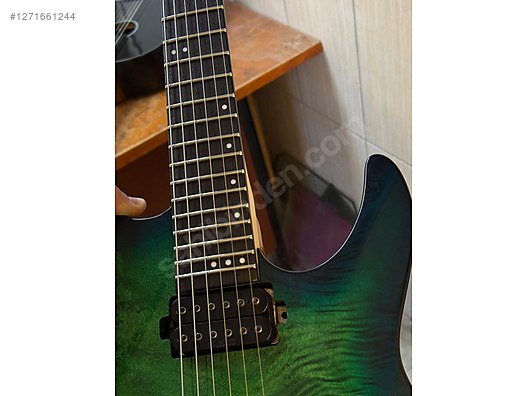 Schecter Elektro Gitar