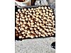 Used & Brand New Items / Foods & Feed / Dried Nuts