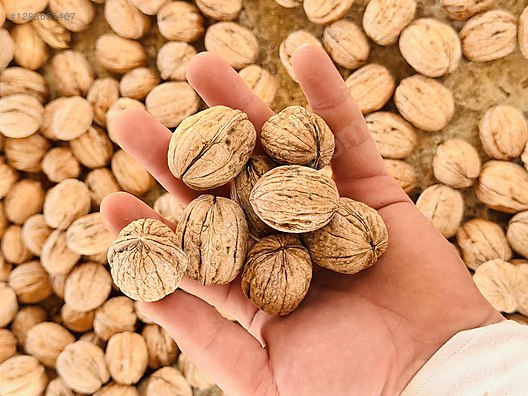 Used & Brand New Items / Foods & Feed / Dried Nuts