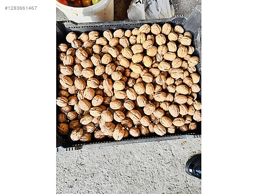 Used & Brand New Items / Foods & Feed / Dried Nuts