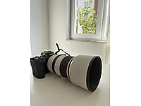 Canon R6 Mark II RF 70-200 mm 2,8 Lens