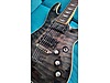 Schecter Elektro Gitar