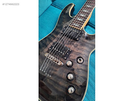Schecter Elektro Gitar