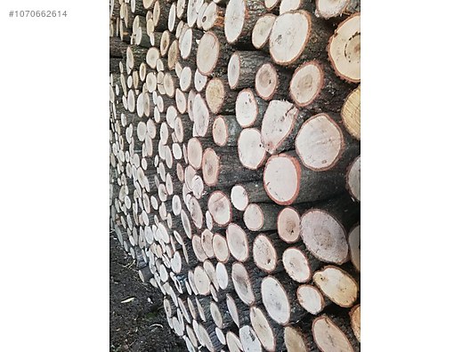 Aksesuar - Soba & Şömine