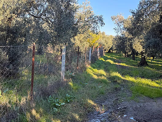 Bursa emlak alem-iÇakırlı da resmi yola cepheli 1.156m2 satılık #1285662713