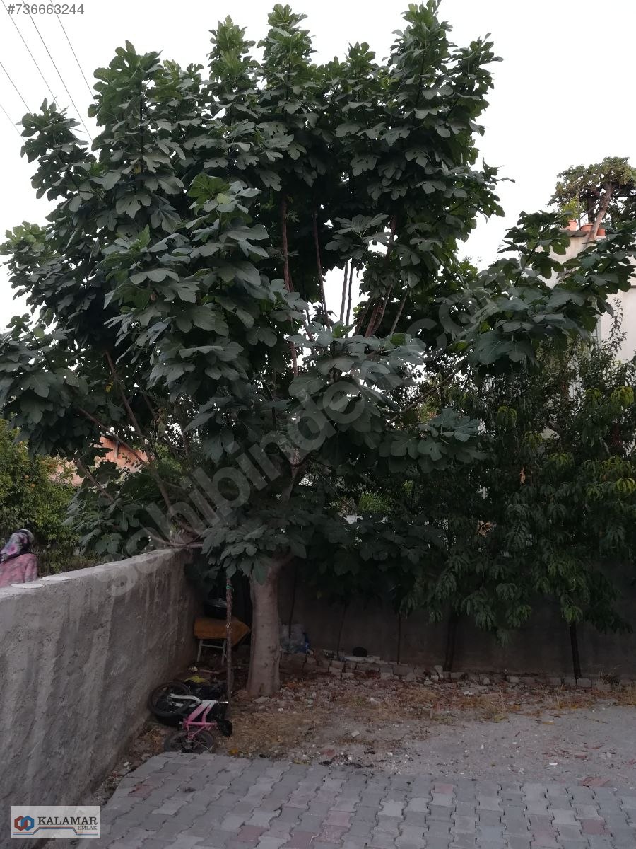 Emlak Ofisinden Satılık 2+1, 200 m² Müstakil Ev 350.000 TL�ye