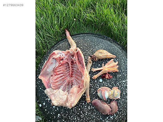 Used & Brand New Items / Foods & Feed / Meat & Fish / White Meats