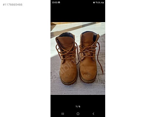 Timberland shoes olx new arrivals