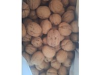 İNCE KABUK YERLI CEVİZ