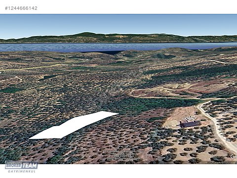 MUDANYA TRİLYE'DE DENİZ MANZARALI 2522 M2 ZEYTİNLİK