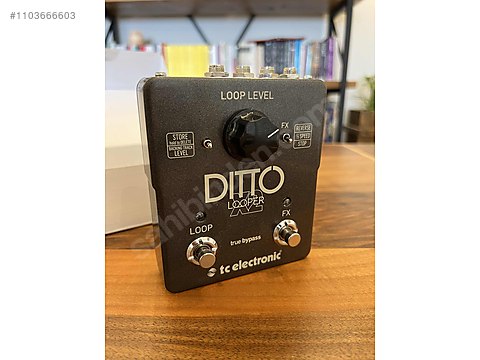 Tc electronic ditto x2 looper pedal - Efekt Pedalı ve Diğer Enstrüman Yan  Ekipmanları sahibinden.com'da - 1103666603
