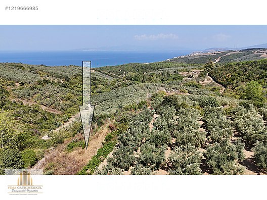 FİMA EMLAK'TAN MUDANYA AYAZMA YOLA CEPHE DENİZ MANZARALI ARAZİ #1219666985