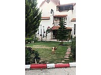 adana kiralik mustakil ev fiyatlari sahibinden com da 6