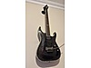 LTD Elektro Gitar