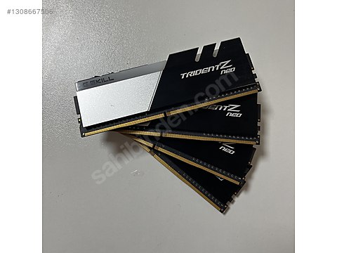 1308667506kmf.jpg