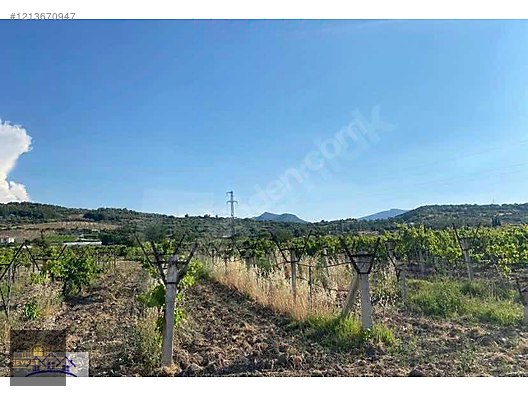 ORTAKÖY TÜRKMEN'DE SATILIK 3 DÖNÜM DİREKLİ BAĞ #1213670947