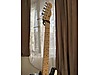 Fender Elektro Gitar