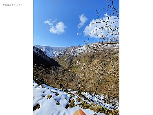 Gökdemir gayrimenkul'den satılık fındık bahçesi #1268671071