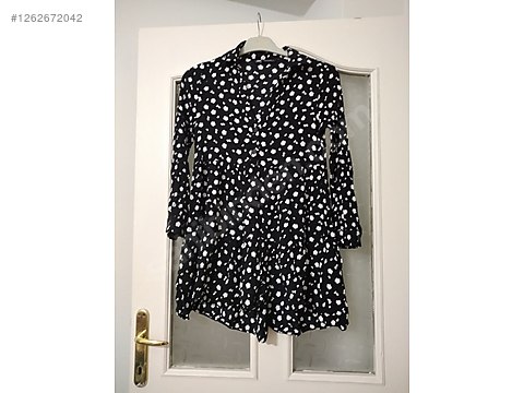 1262672042ks4.jpg