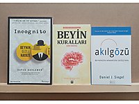 Incognito, Beyin Kuralları, Akıl Gözü