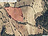 UŞAK PAŞACIOĞLU KÖYÜNDE TEK TAPULU YOLA CEPHELİ 18000 M2 TARLA