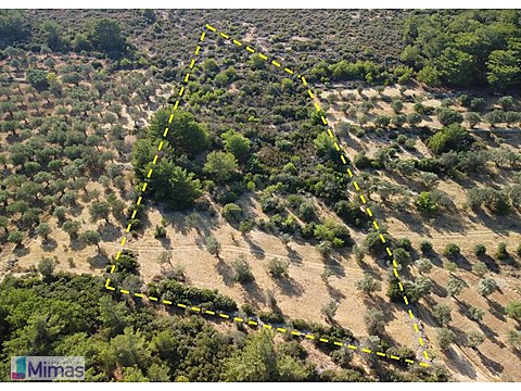 BARBAROS KÖYÜNDE İKİ TARAFI ORMANA CEPHELİ 1.2...