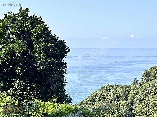 MS Emlak tan Acil Satılık Arsa Kesmetaş Mahallesi #1268674789