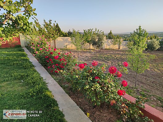 for sale villa ezogelinden kilis yolunda mustakil genis bag evi at sahibinden com 825676751